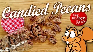 Candied Pecans  Tiny Kitchen Big Taste [upl. by Mellar715]