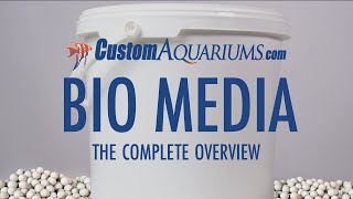 Custom Aquariums Bio Media Overview [upl. by Gerrilee]