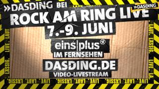 Dog vs Dizzee Rascal  DASDING LIVE bei Rock am Ring 2013 [upl. by Eidna]