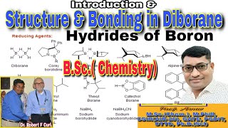 Hydrides of boron bsc 2nd year Structure of diborane Bsc chemistry Bsc chemistry 2nd year [upl. by Elicec]