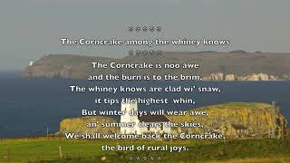 The Corncrake amang the whinney knowes [upl. by Suu]