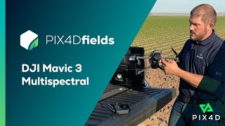 How to use DJI Mavic 3 Multispectral  PIX4Dfields infield Tutorials [upl. by Sivolc]