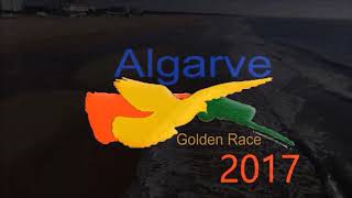 Algarve Pigeons Golden Race 2017 MONFORTE II [upl. by Inness325]