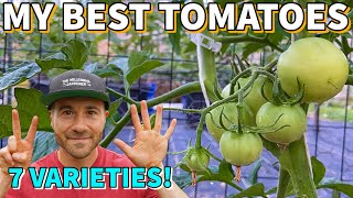 7 Tomatoes I MUST Grow EVERY Year My BEST Tomato Varieties [upl. by Zile700]