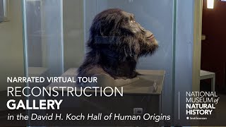 Narrated Virtual Tour David H Koch Hall of Human Origins – Reconstruction Gallery [upl. by Saerdna]