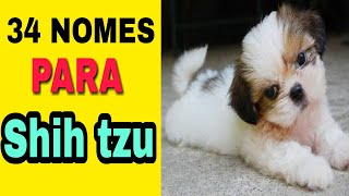 34 NOMES PARA CACHORROS SHIH TZU MACHO [upl. by Anthea]