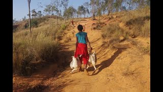 MADAGASKAR  Podróż do Bealanana  cz26 [upl. by Harihs]