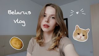 Belarus Vlog  день независимости котики и вкусная еда [upl. by Laeira]