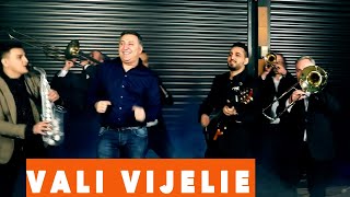 VALI VIJELIE si GABI DE LA ORADEA  IMNUL BETIVULUI VIDEO 2019 [upl. by Dnanidref]