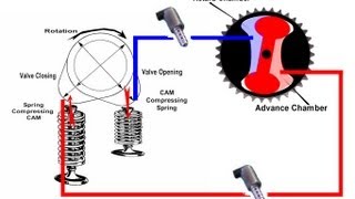 FORD CTA Torque Valve Timing [upl. by Flann]