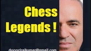 Kasparov vs Karpov  Classic Chess1990  Ruy lopez  chess great games [upl. by Aisiram]