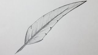 Comment dessiner une plume [upl. by Demetria]