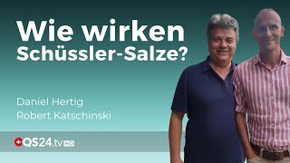 Wann helfen SchüsslerSalze  Alternativmedizin  QS24 Gesundheitsfernsehen [upl. by Nnylrats452]