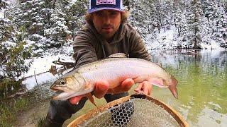 Catch amp Cook BROOK TROUT Tacos Fly Fishing [upl. by Aitital422]