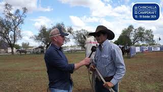 CC with Cameron Webster at Chinchilla Campdraft [upl. by Trace]