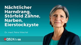 Nächtlicher Harndrang Störfeld Zähne Narben und Eierstockzyste  Dr med Petra Wiechel  Visite [upl. by Indyc398]