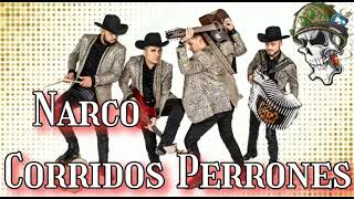 Narco Corridos Perrones ☆☆los cuates de Sinaloa [upl. by Velda]