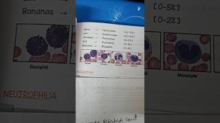 Hematology Reticulocyte count [upl. by Nnayllas]