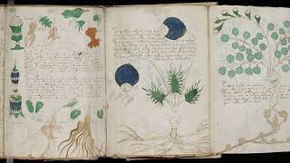 The Voynich Manuscript [upl. by Merill]