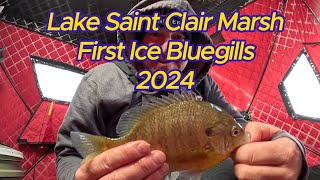 Ice Fishing 2024 Lake Saint Clair Bluegills at the Marsh icefishing bluegillfishing puremichigan [upl. by Aurilia359]