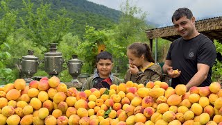 HARVESTING APRICOTS AND MAKING JAM COOKING TANDOOR BREAD RURAL OUTDOOR COOKING VILLAGE LIFE [upl. by Netsua]