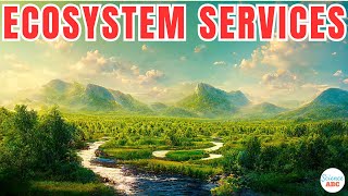 What Are Ecosystem Services [upl. by Stringer]