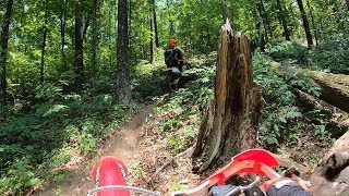 The quotOldquot Single Track Aetna Mountain  Chattanooga TN 060119 [upl. by Xantha180]