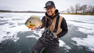 Catching GIANT Early Ice Bluegills MINNESOTA ICE FISHING [upl. by Oidale]