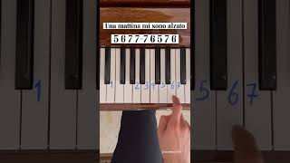 bella ciao piano tutorial ringtone coversong musicclip tutorial [upl. by Reed640]