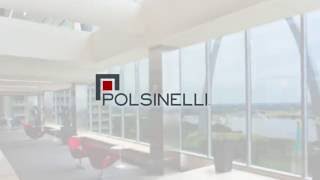 POLSINELLI 2016 [upl. by Nana]