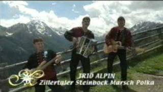 Trio Alpin  Zillertaler Steinbock Marsch Polka [upl. by Hcelemile]