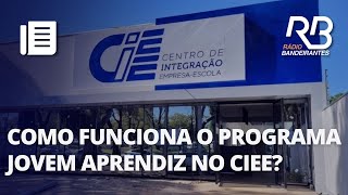 Programa de Jovem Aprendiz do CIEE empregou mais de 580 mil em 2023 [upl. by Zeph20]