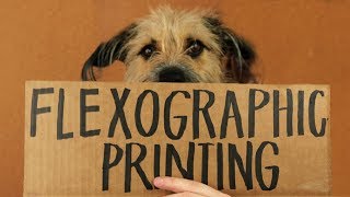 What is Flexographic Printing [upl. by Nove420]