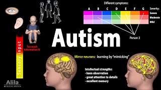 Autism Spectrum Animation [upl. by Narhem991]