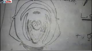 Botany label diagram  monocot and dicot diagram  botany all families labelled diagram [upl. by Sucrad]