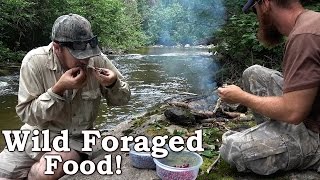 Catch and Cook  NATIVE BROOK TROUT  100 Wild Foraged Lunch [upl. by Hardman]