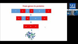 A webinar talk on Gene regulationAn evolutionary perspective [upl. by Geanine676]