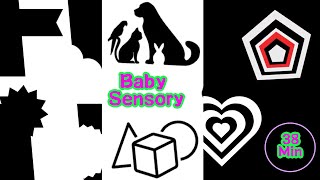 Baby Sensory Black and White [upl. by Aliwt]