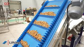 Roasted Flavored Cashew Nuts Production Line in Vietnam [upl. by Loginov]