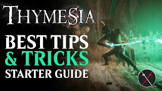 Thymesia Beginner Guide Top 10 Things All Players Should Know [upl. by Eeb]