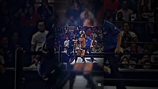 Brock Lesnar vs The Rock  match highlights brocklesnar therock [upl. by Pros]