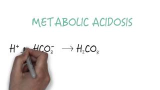 Bicarbonate  The Primary Buffer [upl. by Marchese]