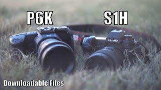 Bmpcc 6k vs Panasonic S1H [upl. by Loos]