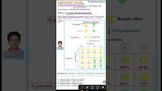 Dihybrid cross  Genetics class 12 [upl. by Swec]