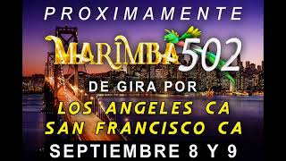 MARIMBA 502 PRÓXIMAMENTE EN VIVO EN LOS ANGELES Y SAN FRANCISCO CA SEPTIEMBRE 8 Y 9 [upl. by Billat142]