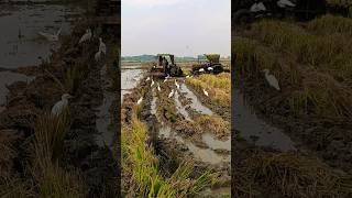 Mahindra 585 mahindra 475 tractors on works in field [upl. by Sixele]