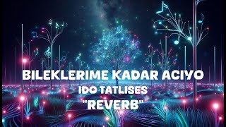 Ido Tatlises  Bileklerime Kadar Aciyo Reverb Lyrics [upl. by Grannias]