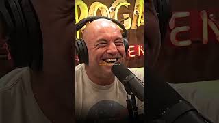 Joe Rogan reveals Russell Crowes Spider Scene [upl. by Abagael749]