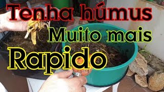 Melhor Forma de Alimentar as Minhocas do Minhocário [upl. by Elson167]