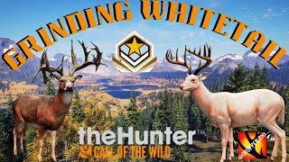 The Hunter Call of the Wild Killed 5 Diamond Whitetail in a Row LIVE G1 Whitetail Grind at Layton [upl. by Merry]